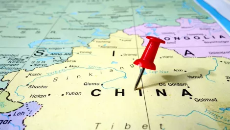 Avnet expands into China with Western Digital distie agreement